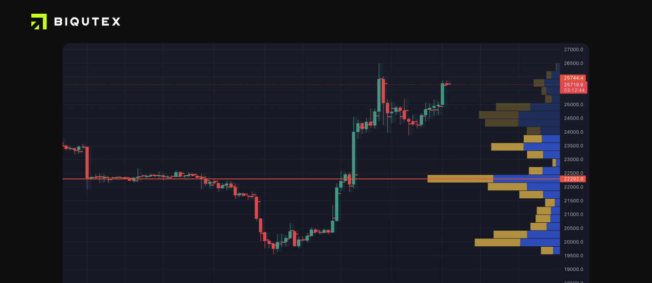 Volume profile: how to use one of the most popular indicators